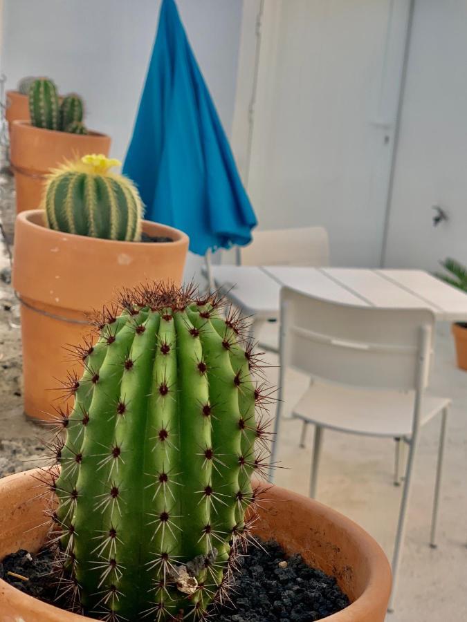 プラヤ・ブランカLoft La Islaアパートメント エクステリア 写真